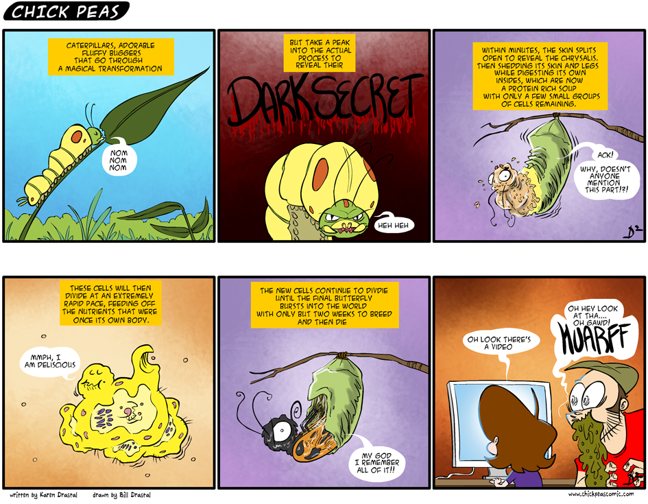 Butterflies, Nature’s Monsters